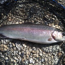 濁りの強さに苦戦